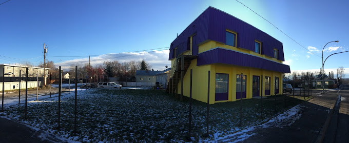 Image 4